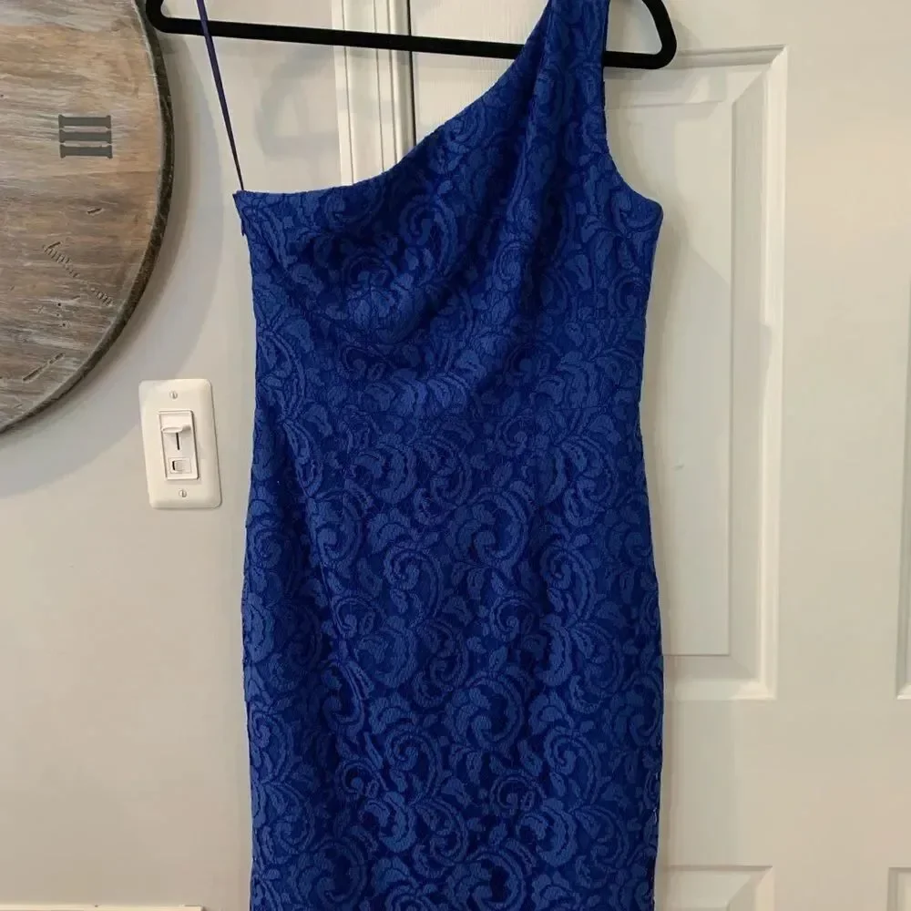 J Crew Alexa Lace One Shoulder Royal Blue Dress 4